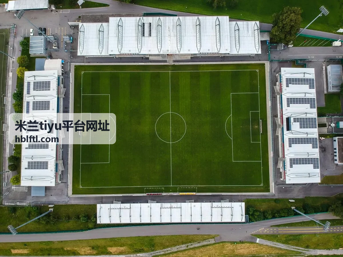 米兰tiyu平台网址工单处理流程与响应时段示意